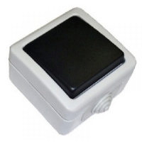 EF600SD Выключатель одноклавишый с самовозвратом (кнопка),10A (сер.)
