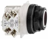 КНОПКА 30ММ 9001SKR1BH5