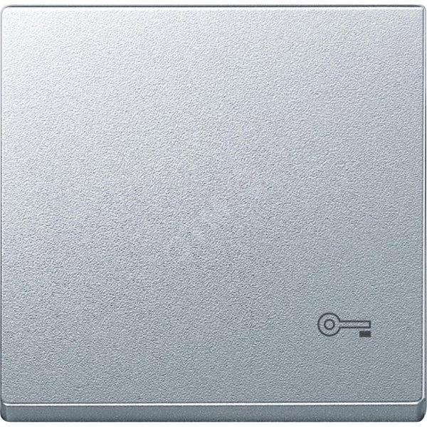 КЛАВИША С ПИКТОГРАММОЙ «КЛЮЧ» АЛЮМ MTN3303-0460