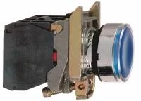 КНОПКА 22ММ 48-120В С ВОЗВ. С ПОДСВ. XB4BW36G5
