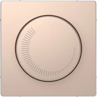 D-Life ЦЕНТРАЛЬНАЯ НАКЛАДКА регулятора частоты вращения, ШАМПАНЬ, SD