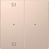 D-Life PlusLink КЛАВИША 2-ная с S1/S2, пусто, ШАМПАНЬ, SD