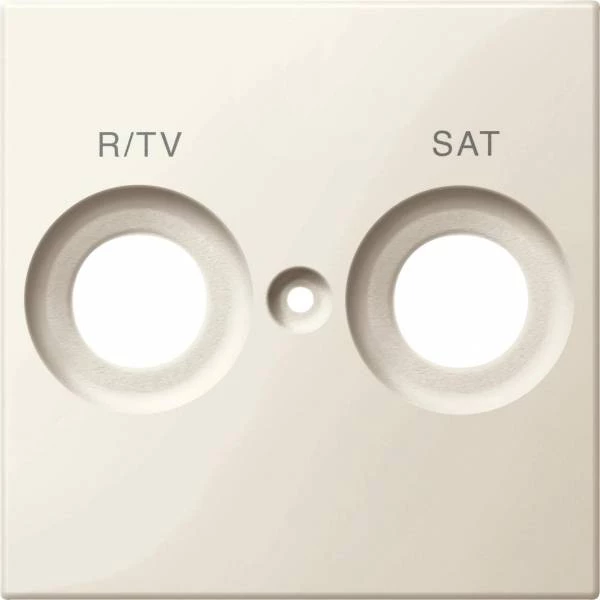 ЦЕНТ.ПЛАТА С МАРКИРОВКОЙ R/TV И SAT БЕЛ