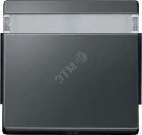 КЛАВИША С ПОЛЕМ ДЛЯ НАДПИСИ MTN343914