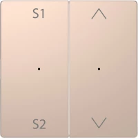 D-Life PlusLink КЛАВИША 2-ная с S1/S2, вх/вз, ШАМПАНЬ, SD