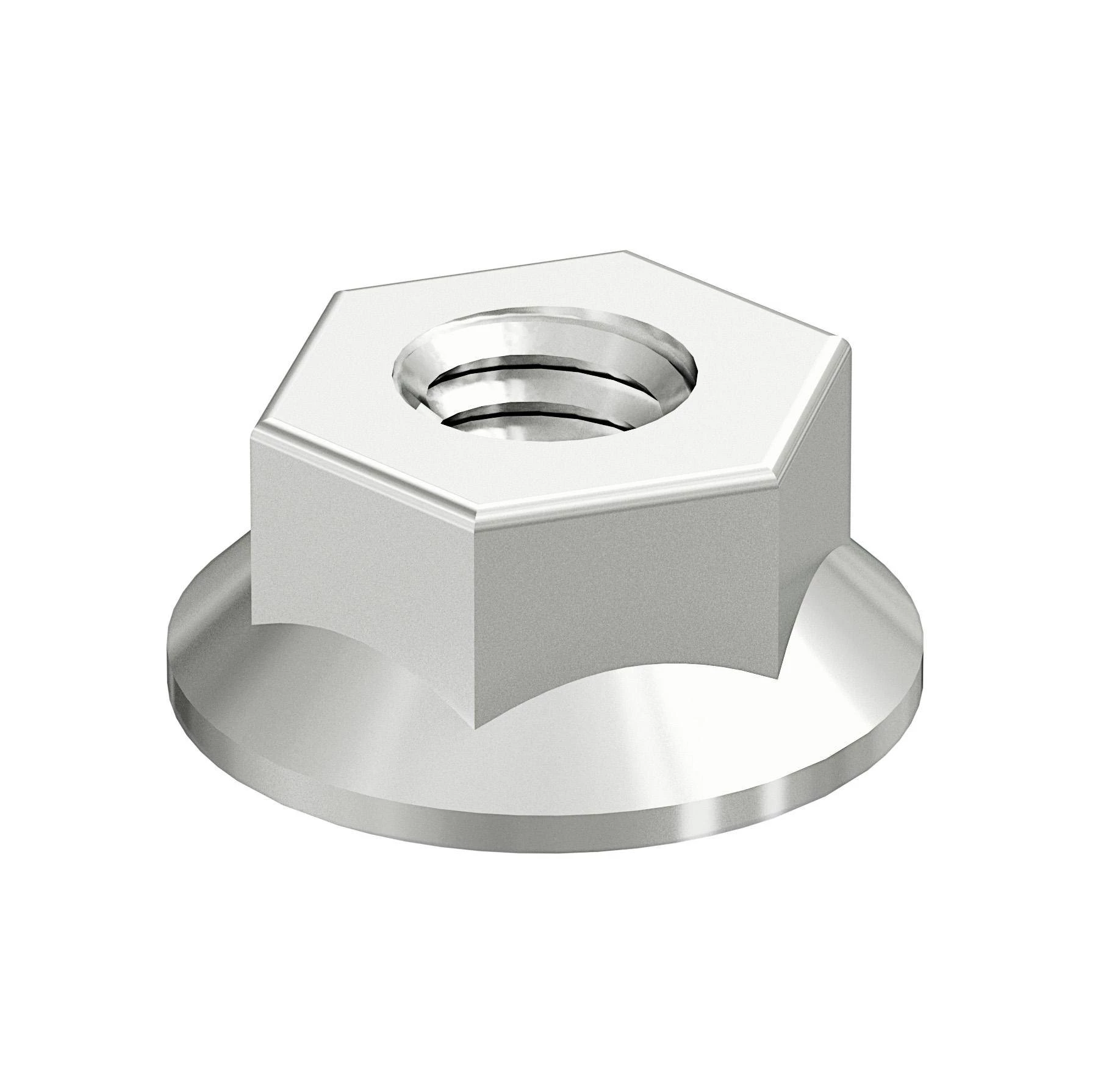 ГАЙКА ФЛАНЦЕВАЯ B43/M10 (50ШТ) SS316L