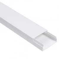Кабель-канал 100х60 ECOLINE (8 м)